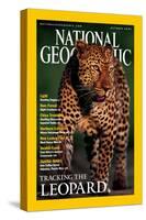 Cover of the October, 2001 National Geographic Magazine-Kim Wolhuter-Stretched Canvas