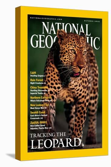 Cover of the October, 2001 National Geographic Magazine-Kim Wolhuter-Stretched Canvas