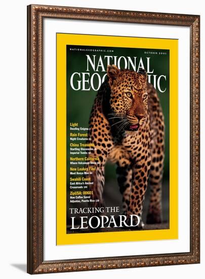 Cover of the October, 2001 National Geographic Magazine-Kim Wolhuter-Framed Photographic Print