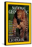 Cover of the October, 2001 National Geographic Magazine-Kim Wolhuter-Framed Stretched Canvas