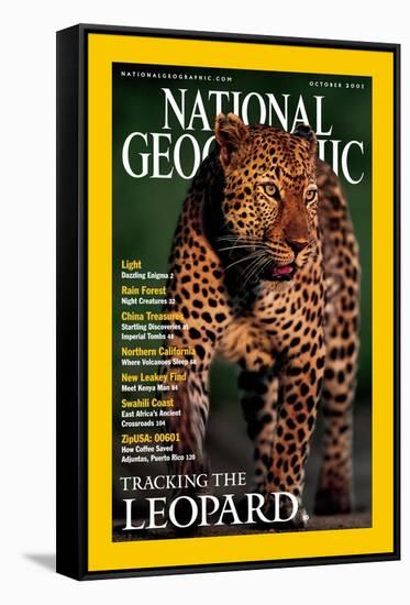 Cover of the October, 2001 National Geographic Magazine-Kim Wolhuter-Framed Stretched Canvas