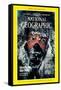 Cover of the September, 1986 National Geographic Magazine-Jim Brandenburg-Framed Stretched Canvas