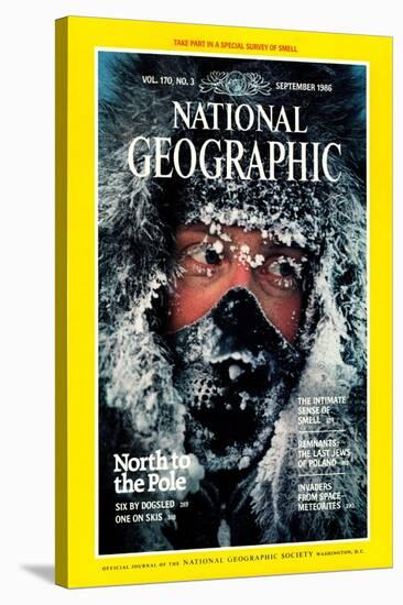 Cover of the September, 1986 National Geographic Magazine-Jim Brandenburg-Stretched Canvas