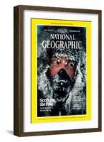 Cover of the September, 1986 National Geographic Magazine-Jim Brandenburg-Framed Photographic Print