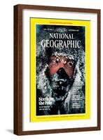 Cover of the September, 1986 National Geographic Magazine-Jim Brandenburg-Framed Photographic Print