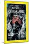 Cover of the September, 1986 National Geographic Magazine-Jim Brandenburg-Mounted Premium Photographic Print