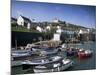 Coverack Harbour, Cornwall, England, United Kingdom-John Miller-Mounted Photographic Print