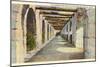 Covered Archway, Alamo, San Antonio, Texas-null-Mounted Art Print