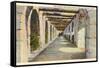 Covered Archway, Alamo, San Antonio, Texas-null-Framed Stretched Canvas
