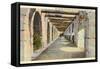 Covered Archway, Alamo, San Antonio, Texas-null-Framed Stretched Canvas