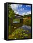 Covered Bridge across a River, Vermont, USA-null-Framed Stretched Canvas