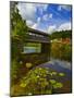 Covered Bridge across a River, Vermont, USA-null-Mounted Photographic Print