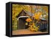 Covered Bridge and Maple Trees-James Randklev-Framed Stretched Canvas