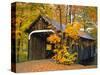 Covered Bridge and Maple Trees-James Randklev-Stretched Canvas