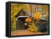 Covered Bridge and Maple Trees-James Randklev-Framed Stretched Canvas