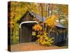 Covered Bridge and Maple Trees-James Randklev-Stretched Canvas