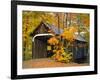 Covered Bridge and Maple Trees-James Randklev-Framed Photographic Print