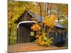 Covered Bridge and Maple Trees-James Randklev-Mounted Photographic Print