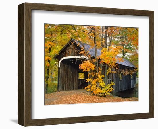 Covered Bridge and Maple Trees-James Randklev-Framed Photographic Print