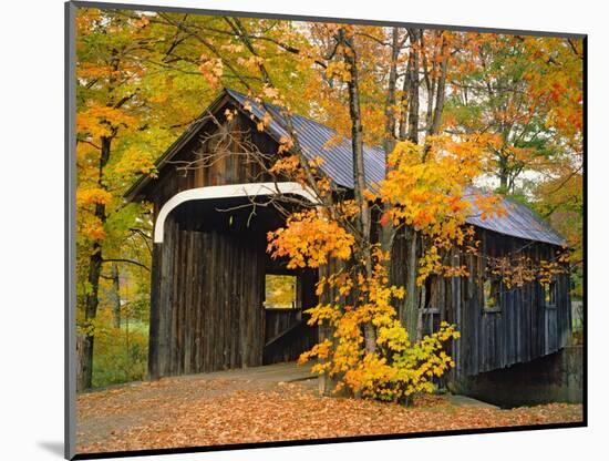 Covered Bridge and Maple Trees-James Randklev-Mounted Photographic Print