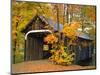Covered Bridge and Maple Trees-James Randklev-Mounted Photographic Print