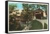 Covered Bridge, Coshocton, Ohio-null-Framed Stretched Canvas