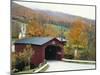 Covered Bridge in Autumn Landscape, Battenkill, Arlington Bridge, West Arlington, Vermont, USA-Scott T^ Smith-Mounted Photographic Print