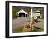 Covered Bridge in downtown Stark, New Hampshire, USA-Jerry & Marcy Monkman-Framed Photographic Print