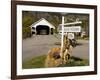 Covered Bridge in downtown Stark, New Hampshire, USA-Jerry & Marcy Monkman-Framed Photographic Print