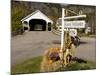 Covered Bridge in downtown Stark, New Hampshire, USA-Jerry & Marcy Monkman-Mounted Photographic Print