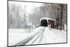 Covered Bridge in Snow-Delmas Lehman-Mounted Photographic Print