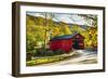 Covered Bridge In The Green Mountains, Vermont-George Oze-Framed Photographic Print