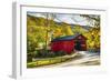 Covered Bridge In The Green Mountains, Vermont-George Oze-Framed Photographic Print