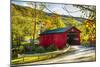 Covered Bridge In The Green Mountains, Vermont-George Oze-Mounted Photographic Print