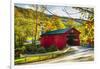 Covered Bridge In The Green Mountains, Vermont-George Oze-Framed Photographic Print