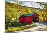 Covered Bridge In The Green Mountains, Vermont-George Oze-Mounted Photographic Print