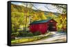 Covered Bridge In The Green Mountains, Vermont-George Oze-Framed Stretched Canvas