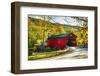 Covered Bridge In The Green Mountains, Vermont-George Oze-Framed Photographic Print