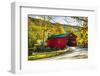 Covered Bridge In The Green Mountains, Vermont-George Oze-Framed Photographic Print