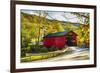 Covered Bridge In The Green Mountains, Vermont-George Oze-Framed Photographic Print