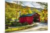 Covered Bridge In The Green Mountains, Vermont-George Oze-Mounted Photographic Print