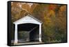Covered bridge, Indiana, USA-Anna Miller-Framed Stretched Canvas