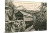 Covered Bridge, Keene, New Hampshire-null-Mounted Premium Giclee Print