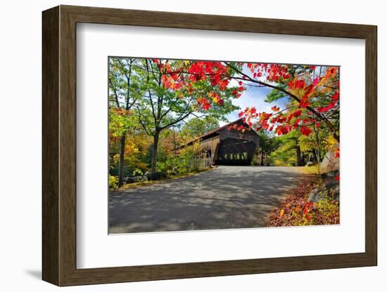 Covered Bridge Of Albany, New Hampshire-George Oze-Framed Photographic Print