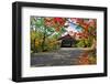 Covered Bridge Of Albany, New Hampshire-George Oze-Framed Photographic Print