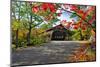Covered Bridge Of Albany, New Hampshire-George Oze-Mounted Photographic Print