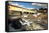 Covered Bridge Of Bath, Vermont-George Oze-Framed Stretched Canvas