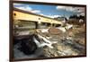 Covered Bridge Of Bath, Vermont-George Oze-Framed Photographic Print