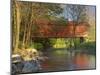 Covered Bridge over Sinking Crook, Newport, Virginia, USA-Charles Gurche-Mounted Photographic Print