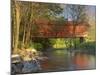 Covered Bridge over Sinking Crook, Newport, Virginia, USA-Charles Gurche-Mounted Photographic Print